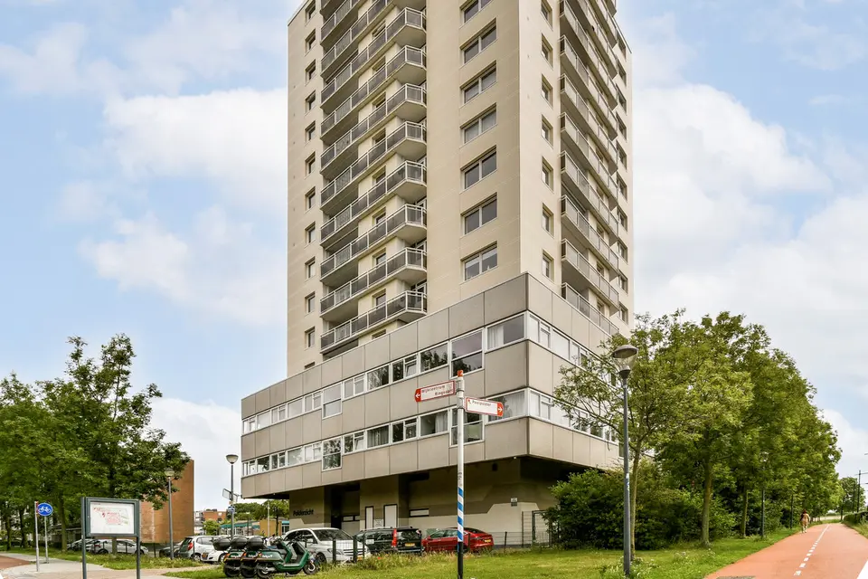 Professor Van Der Scheerstraat 203A