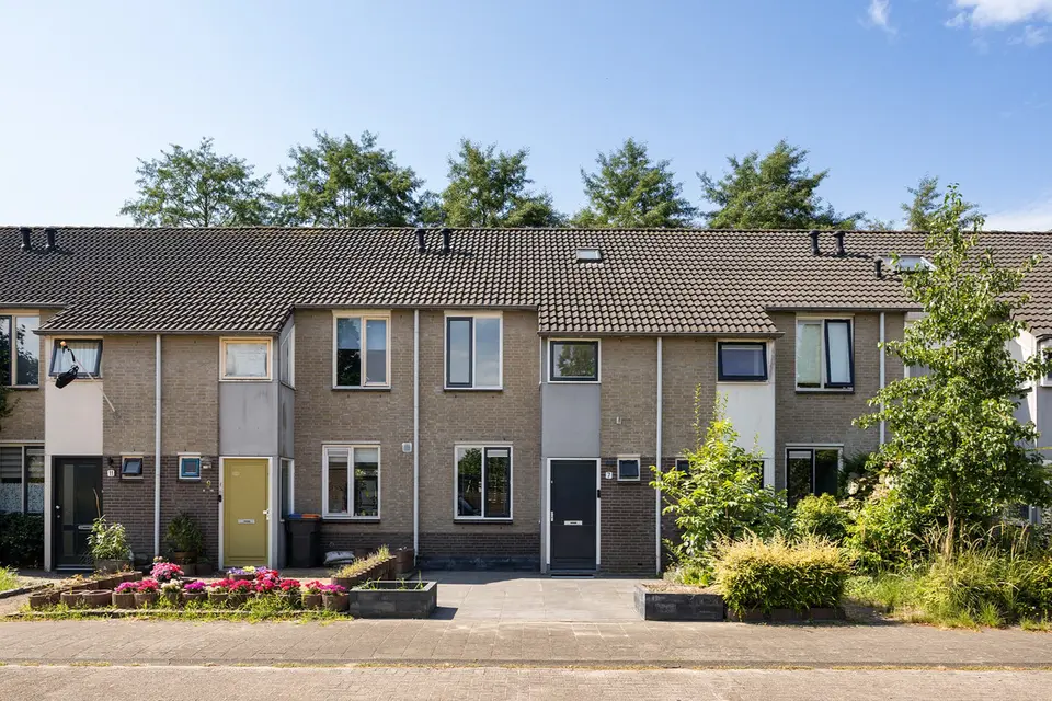 Hornstraat 7